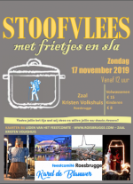 STOOFVLEES met frietjes en sla